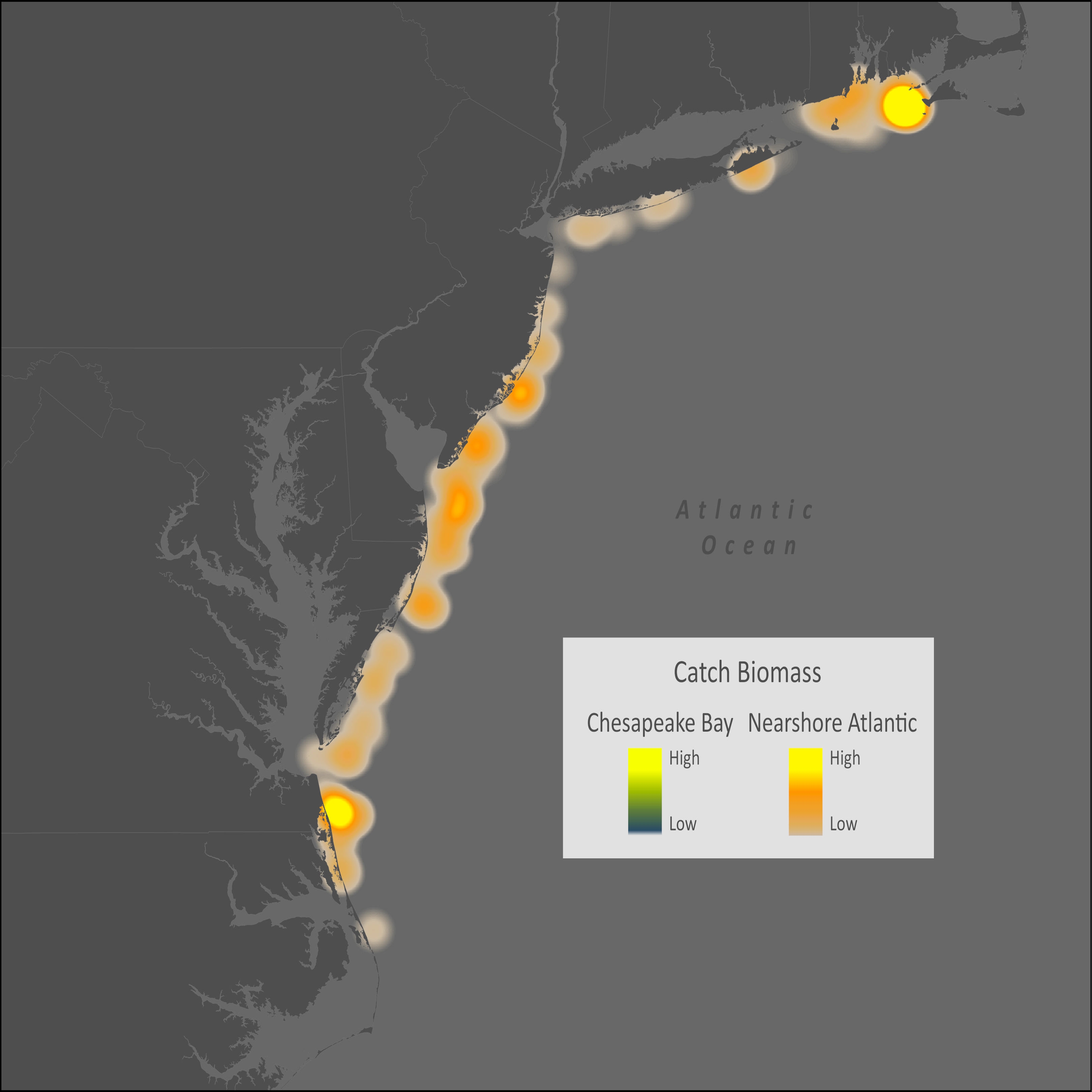 Atlantic Mackerel Distribution