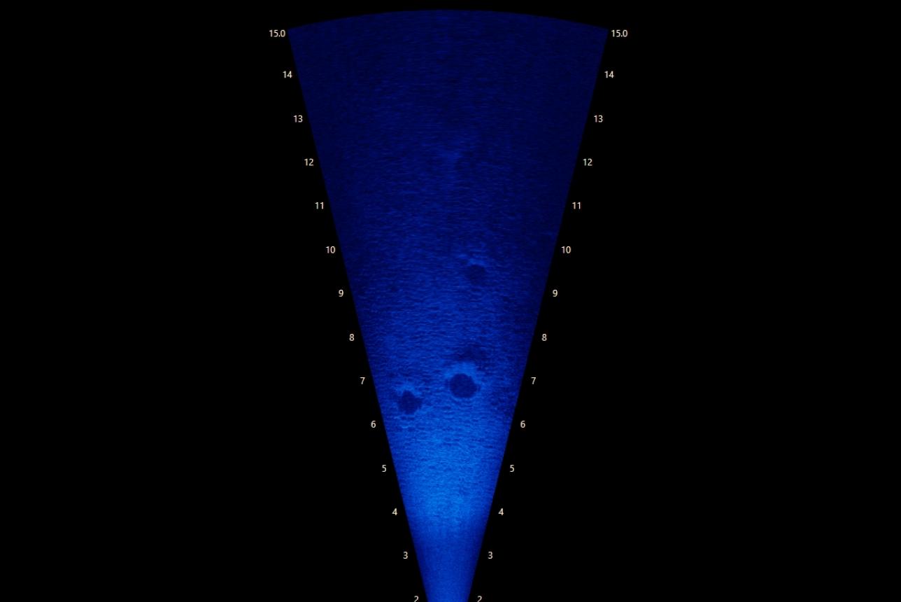 A screenshot of video feed from an underwater sonar camera