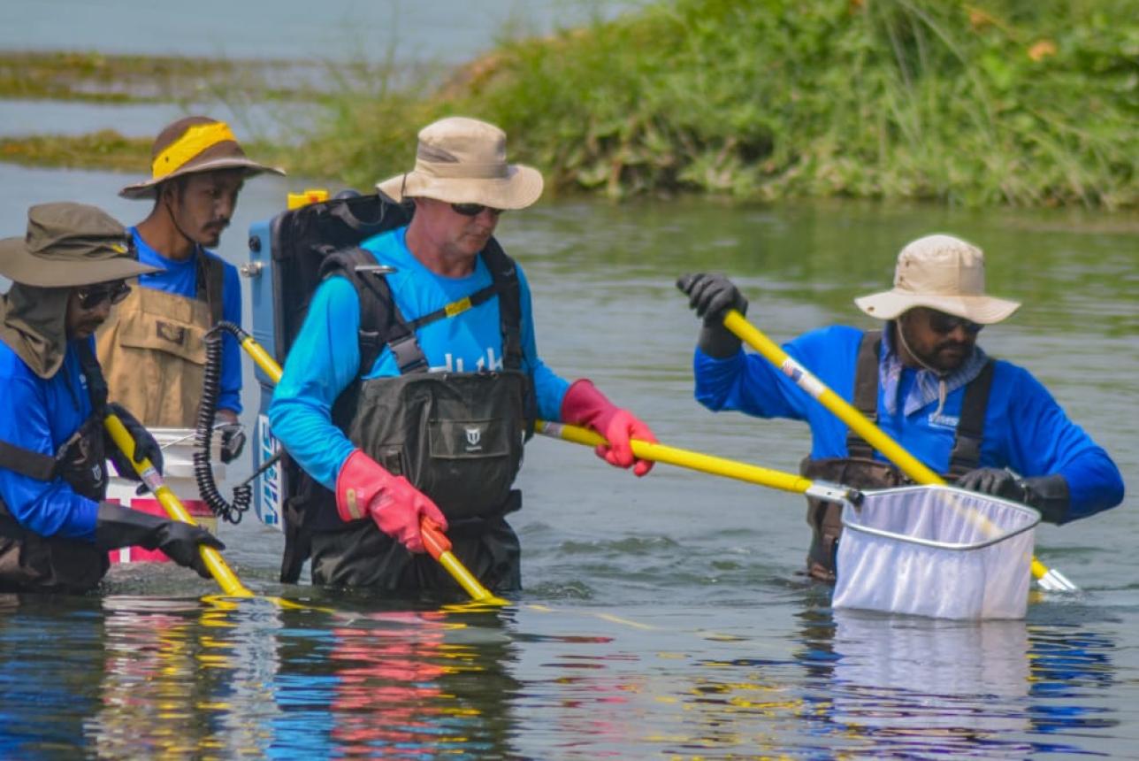 Scientists wade through water, using electrofishing equipment to catch fish in Nepal