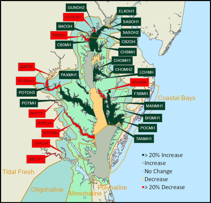 Map of Chesapeake Bay CBP segments color-coded by 2024 SAV change relative to 2023, grouped by salinity zone