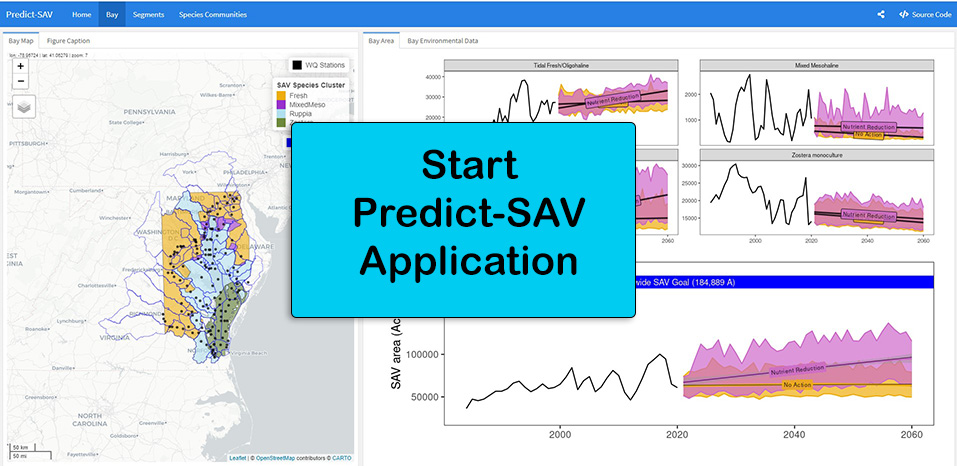 Start Predict-SAV Application