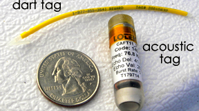 $_EscapeTool.xml($image_display_name)