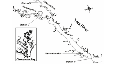 $_EscapeTool.xml($image_display_name)