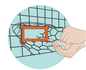 Install BRDs on the funnel openings of your crab pots. Illustration: (c) 2009 Kelly Finan / National Aquarium